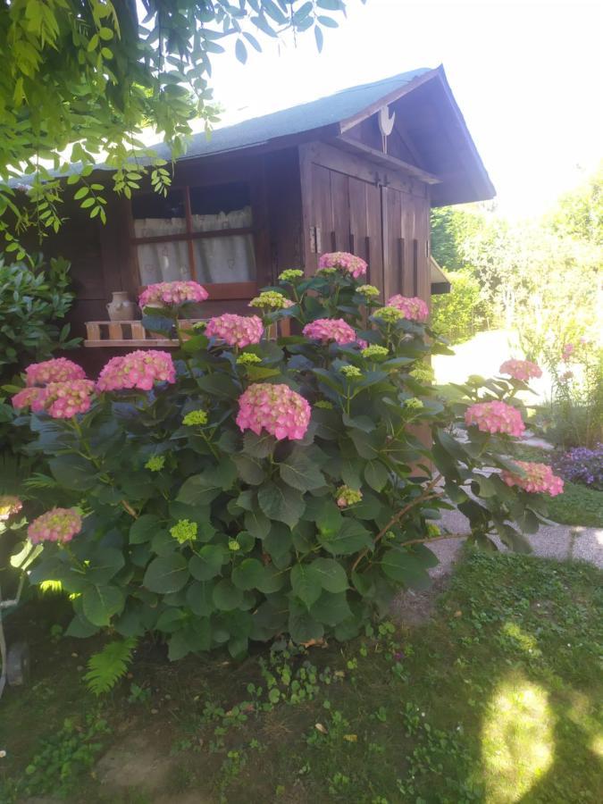 Al Casale B&B Casalserugo Eksteriør billede