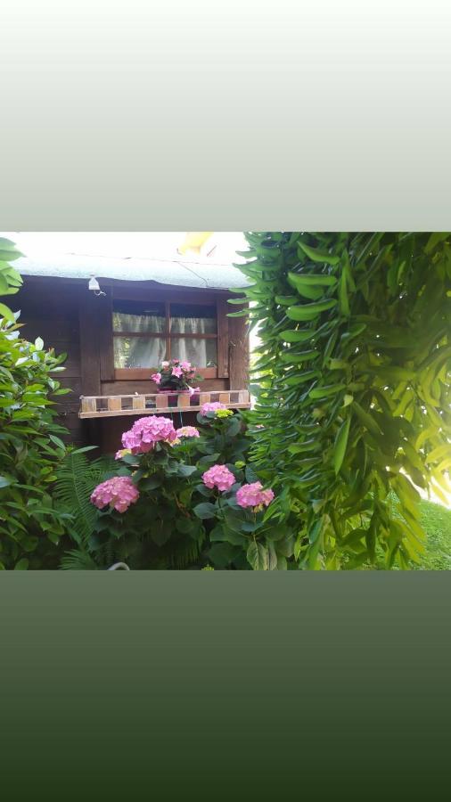 Al Casale B&B Casalserugo Eksteriør billede